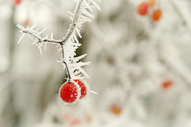 The Heart of Winter Energy