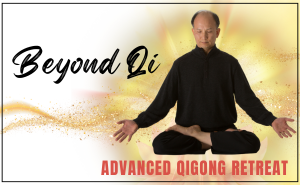 Spring Forest Qigong Level Five Retreat