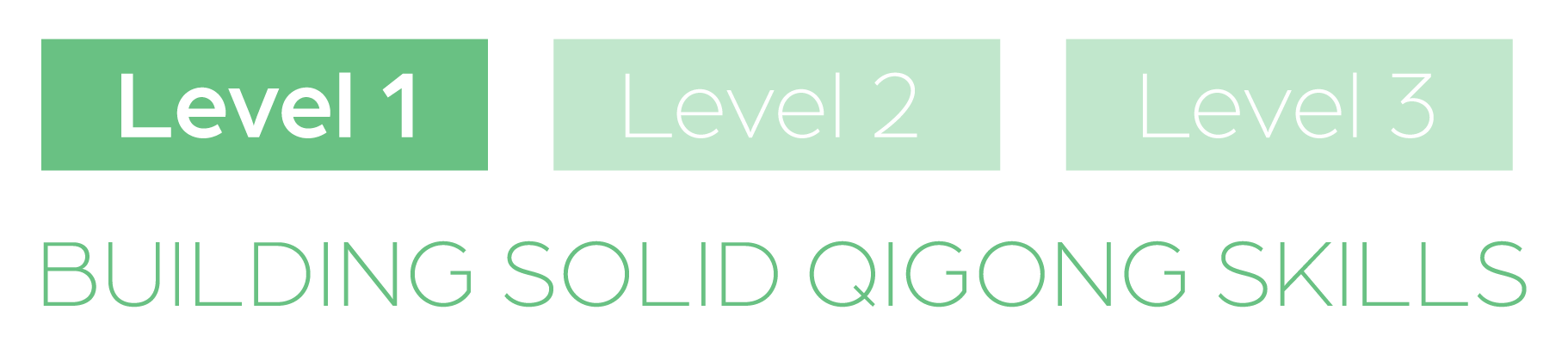 Spring Forest Qigong Level 1