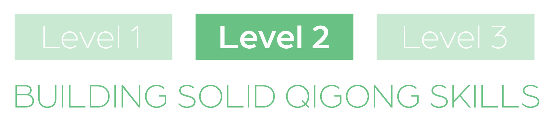 Spring Forest Qigong Level 2 Qigong for Healing Live Class