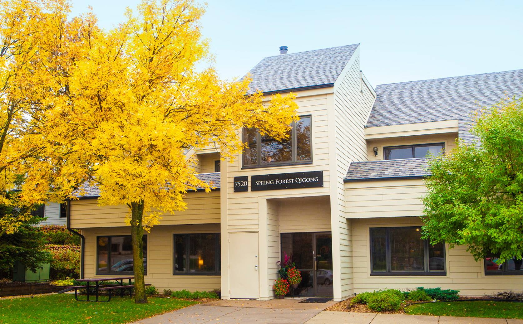 Spring Forest Qigong Healing Center