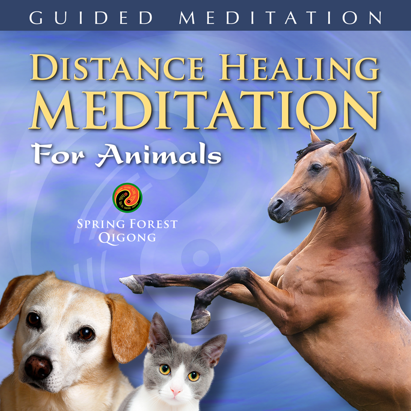 Qigong Healing for Animals Qigong Healing for Animals