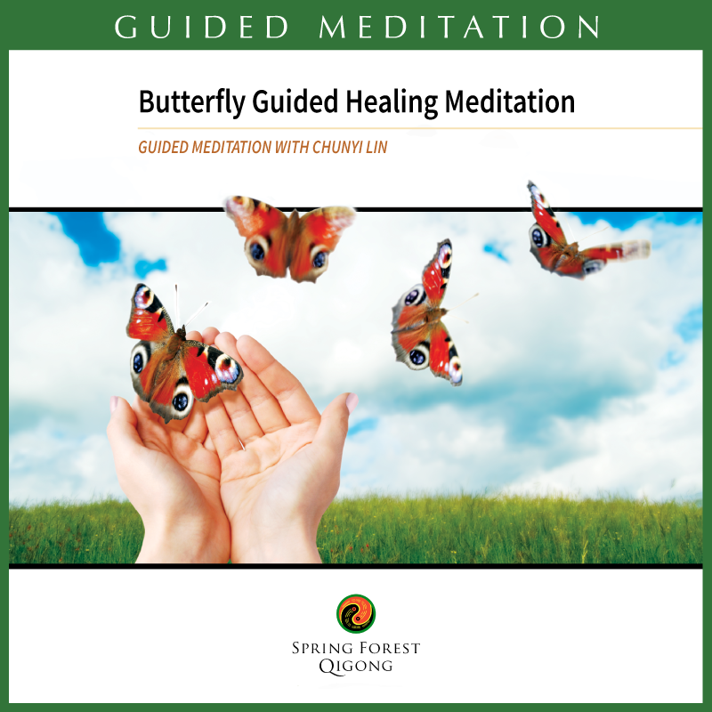 Butterfly Qigong Healing Meditation Butterfly Qigong Healing Meditation