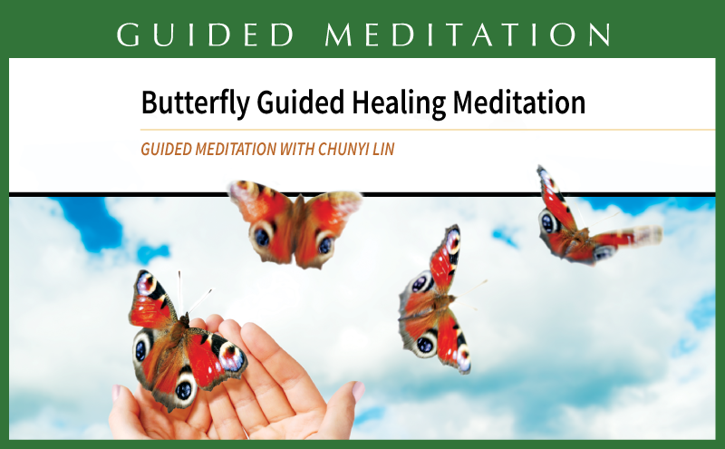 Butterfly Qigong Healing Meditation Butterfly Qigong Healing Meditation
