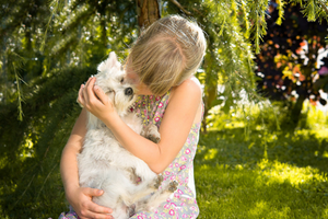 An Animal a Day Keeps the Doctor Away: Life Lessons from Our Animal Friends