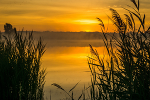 Making a Date with the Sunrise