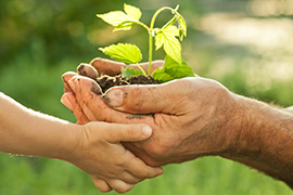 Make Your Earth Connection