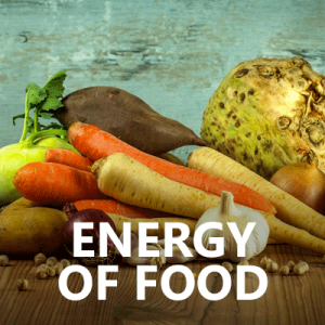 BLOG-ENERGY-OF-FOOD