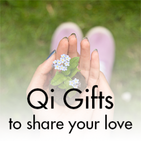 sfq-qi-gifts-300x300